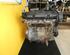 Motor kaal FORD Fiesta V (JD, JH)