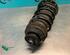 Suspension Strut FIAT GRANDE PUNTO (199_), FIAT PUNTO (199_), FIAT PUNTO EVO (199_)