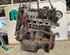 Bare Engine FIAT GRANDE PUNTO (199_), FIAT PUNTO (199_), FIAT PUNTO EVO (199_)