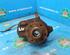 Stub Axle OPEL Meriva (--)