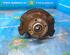 Stub Axle OPEL AGILA (B) (H08)