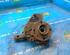 Stub Axle RENAULT TWINGO II (CN0_)