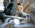 Drive Shaft SUZUKI Swift III (EZ, MZ)