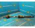 Drive Shaft RENAULT Captur I (H5, J5), RENAULT Clio IV (BH)