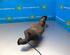 Catalytic Converter FORD C-Max (DM2), FORD Focus C-Max (--), FORD Kuga I (--), FORD Kuga II (DM2)