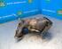 Catalytic Converter RENAULT CLIO V (B7_)