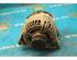 Alternator OPEL MERIVA B MPV (S10)