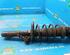 Suspension Strut SKODA FABIA II (542)