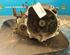 Manual Transmission NISSAN Micra III (K12), NISSAN Note (E11, NE11)