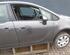 Door OPEL MERIVA B MPV (S10)