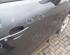 Door OPEL MERIVA B MPV (S10)