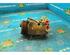 Air Conditioning Compressor FORD Focus II Turnier (DA, DS, FFS)