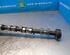 Camshaft TOYOTA RAV 4 III (_A3_)