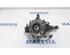 Stub Axle RENAULT Captur I (H5, J5), RENAULT Clio IV (BH)