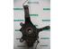 Stub Axle RENAULT Laguna II Grandtour (KG0/1)