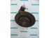 Stub Axle RENAULT VEL SATIS (BJ0_)