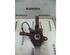 Stub Axle RENAULT Clio II (BB, CB)