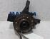 Stub Axle RENAULT Zoe (BFM)