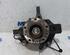 Stub Axle RENAULT MEGANE III Hatchback (BZ0/1_, B3_)