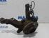 Stub Axle RENAULT KANGOO Express (FW0/1_)