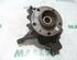 Stub Axle RENAULT MEGANE III Grandtour (KZ0/1)