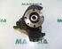 Stub Axle FIAT Panda (169)