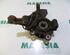 Stub Axle RENAULT Twingo II (CN0)