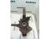 Stub Axle RENAULT MEGANE III Grandtour (KZ0/1)