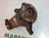 Stub Axle PEUGEOT 206 Schrägheck (2A/C), PEUGEOT 206 Stufenheck (--)