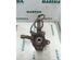 Stub Axle RENAULT Clio II (BB, CB), RENAULT Clio III (BR0/1, CR0/1)