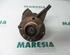 Stub Axle PEUGEOT 206 Schrägheck (2A/C), PEUGEOT 206 Stufenheck (--)