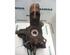 Stub Axle FIAT Ducato Kasten (250, 290)