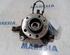 Stub Axle RENAULT Trafic III Kasten (FG)