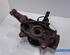 Stub Axle FIAT Talento Kasten/Kombi (296_)