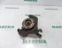 Stub Axle FIAT QUBO (225_), FIAT FIORINO Box Body/MPV (225_), FIAT FIORINO MPV (225_)