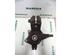 Stub Axle PEUGEOT 206 Hatchback (2A/C), PEUGEOT 206 Saloon, PEUGEOT 206 SW (2E/K), CITROËN C3 I (FC_, FN_)