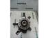 Stub Axle RENAULT LAGUNA II (BG0/1_), RENAULT LAGUNA II Grandtour (KG0/1_)