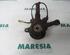 Stub Axle RENAULT CLIO II (BB_, CB_), RENAULT THALIA I (LB_), RENAULT CLIO III (BR0/1, CR0/1)