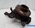 Stub Axle RENAULT CLIO III (BR0/1, CR0/1)