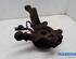 Stub Axle RENAULT CLIO III (BR0/1, CR0/1)