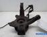 Stub Axle RENAULT CLIO III Grandtour (KR0/1_)