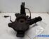 Stub Axle RENAULT MEGANE III Hatchback (BZ0/1_, B3_)