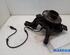 Stub Axle RENAULT MEGANE III Hatchback (BZ0/1_, B3_)