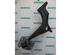 Track Control Arm RENAULT VEL SATIS (BJ0_)