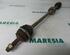 Drive Shaft FIAT Punto (176)