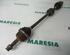 Drive Shaft FIAT Punto (188), FIAT Punto Kasten/Schrägheck (188)