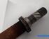 Drive Shaft RENAULT CLIO IV Grandtour (KH_)