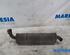 End Silencer FIAT DOBLO Cargo (263_), FIAT DOBLO MPV (263_)