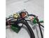 Wiring Harness CITROËN C3 Picasso (--)