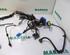 Wiring Harness RENAULT CAPTUR I (J5_, H5_), RENAULT CLIO IV (BH_)